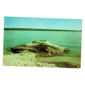 Fishing Cone Yellowstone Postcard Vintage Print West Thumb Bay Lake Haynes Gift